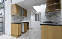 Truemans Heath kitchen extension leads